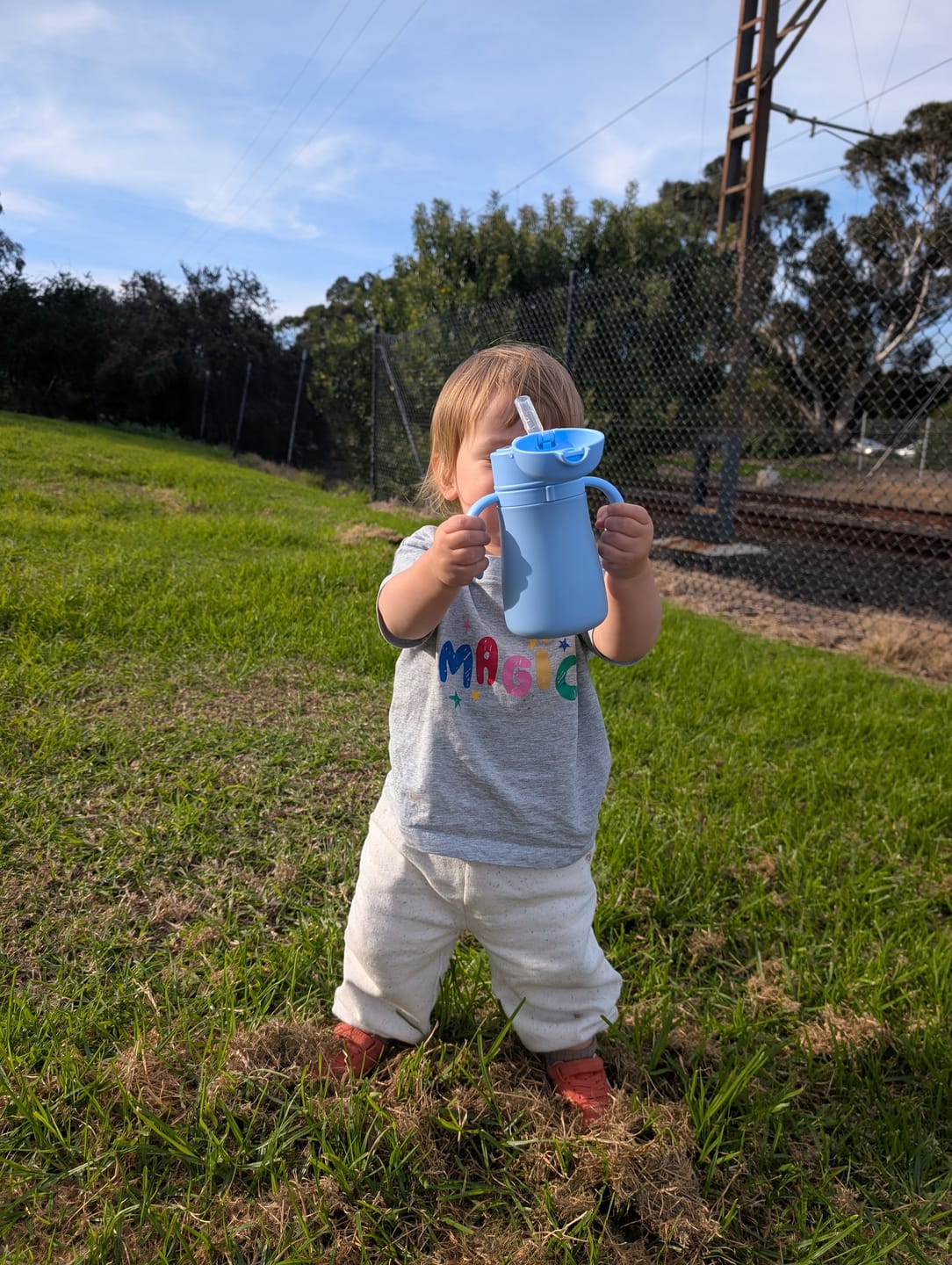 Customer photo review of Daydream Blue