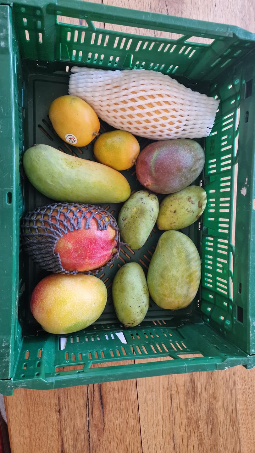 Customer photo review of Mango Entdeckerbox