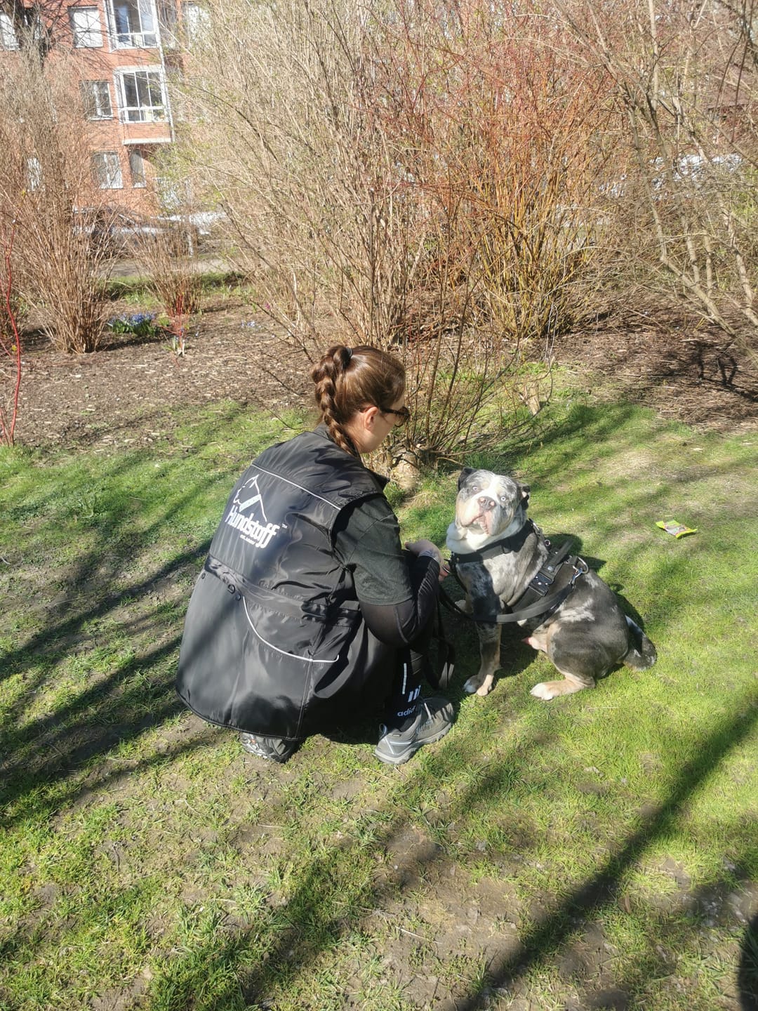 Customer photo review of Hundstaff Pack Handler Vest