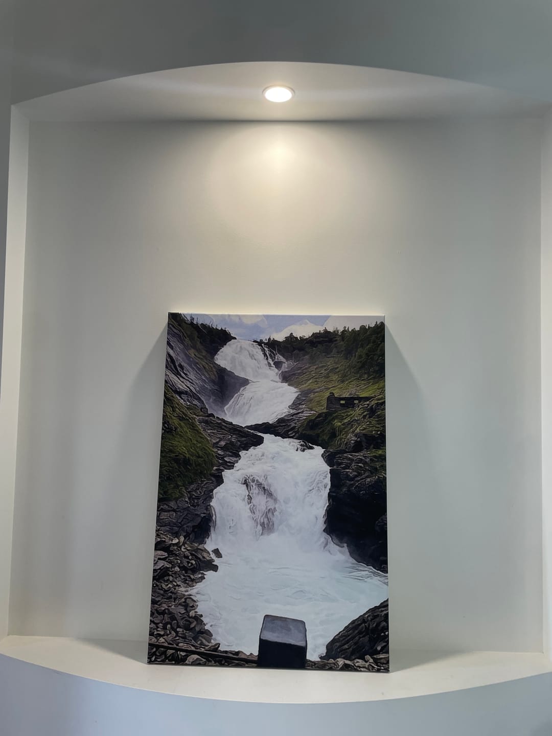 Customer photo review of Custom Favorite Place Portrait