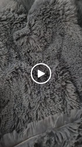 Customer video review of Cama Antiestrés para Perros