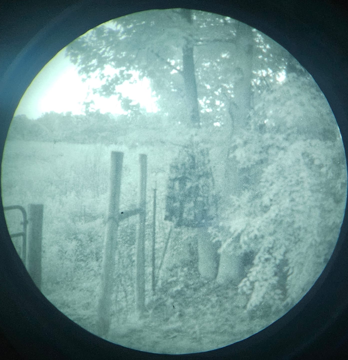Customer photo review of Predator Ghillie™ VIPER LITE