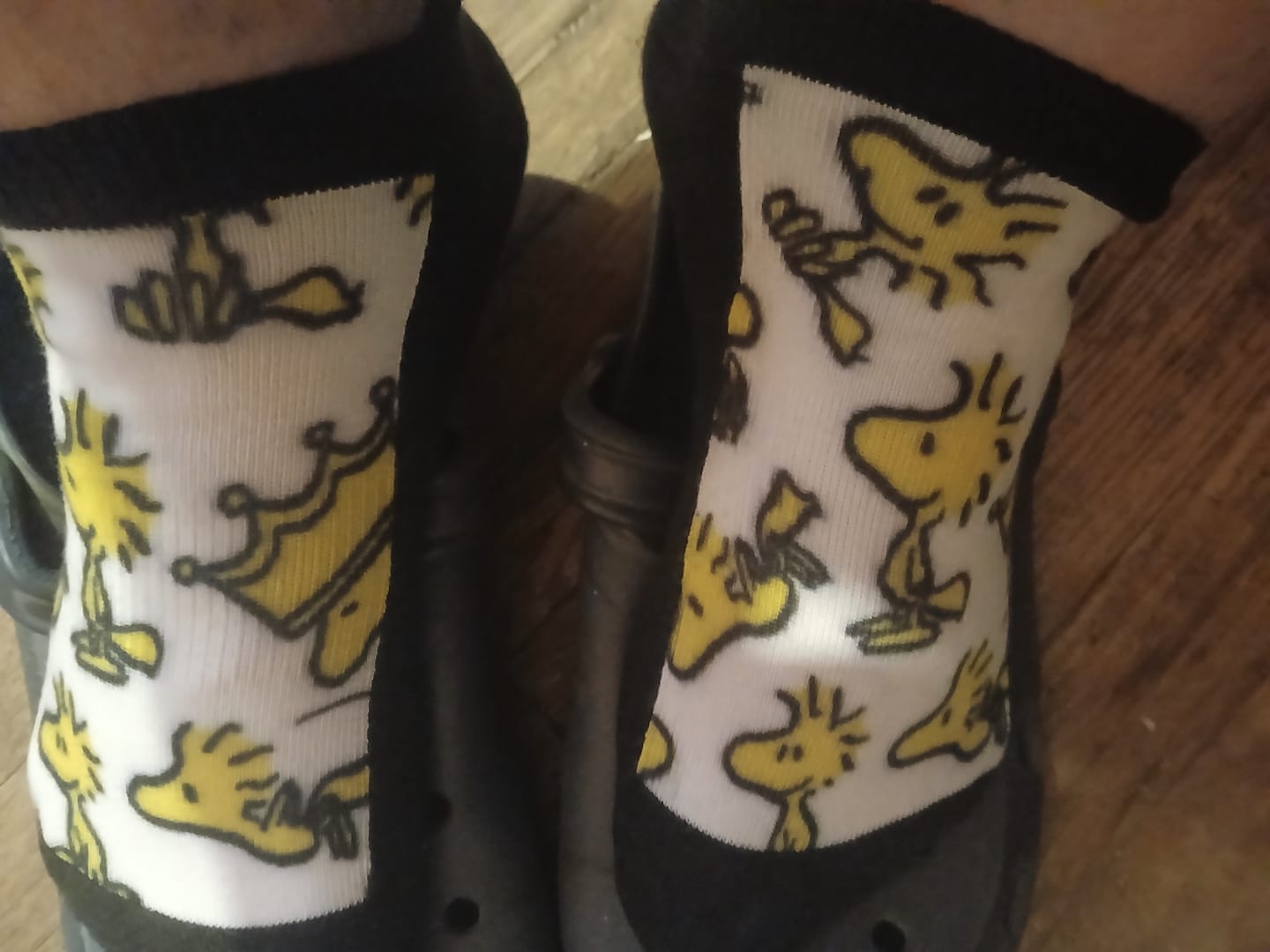 Customer photo review of Woodstocks Ankle Socks