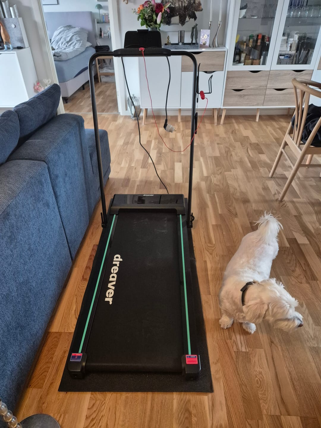 Customer photo review of Dreaver Motion Pro