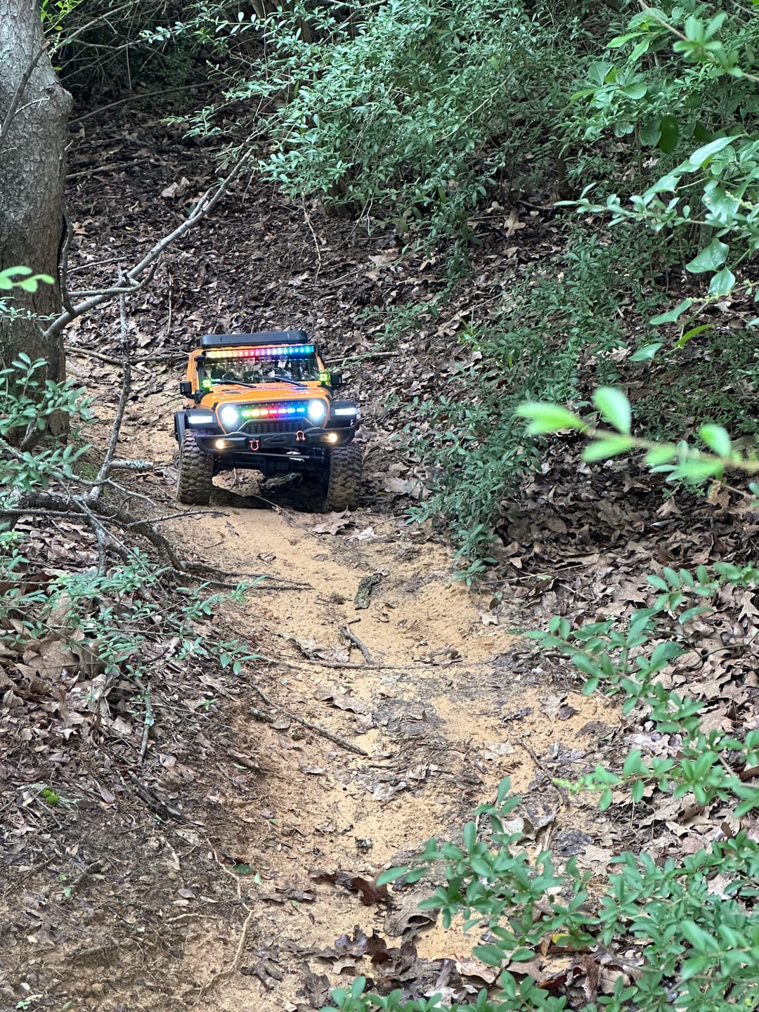 Customer photo review of 1/7 Scale 4WD Brushless RTR RC Crawler MK-07 V2