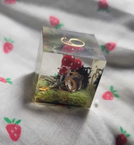 Customer's close-up of a D6 die from the Red Mushroom Resin Dice Set, showing the detailed internal scene.