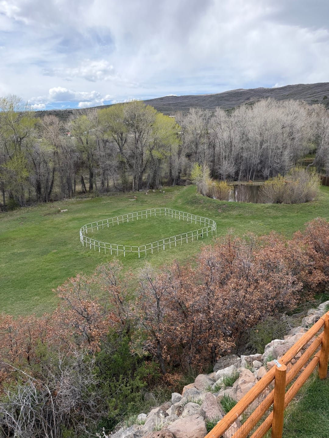 Customer photo review of Ready Made Portable Electric Horse Corral:(10+2=12 Panels; 2 Rails)