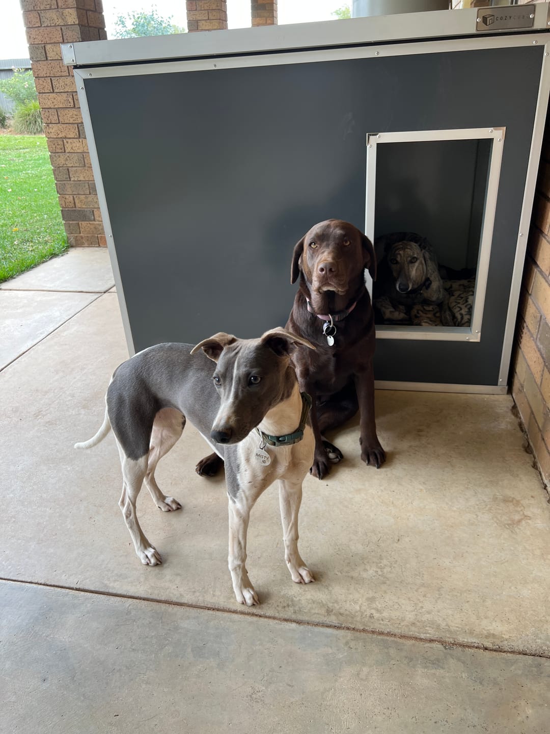 Customer photo review of CozyCube Coldroom Panel Insulated Dog House