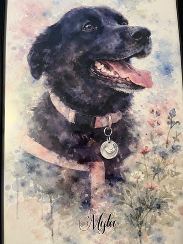 Customer photo review of Watercolor - Personalized Poster