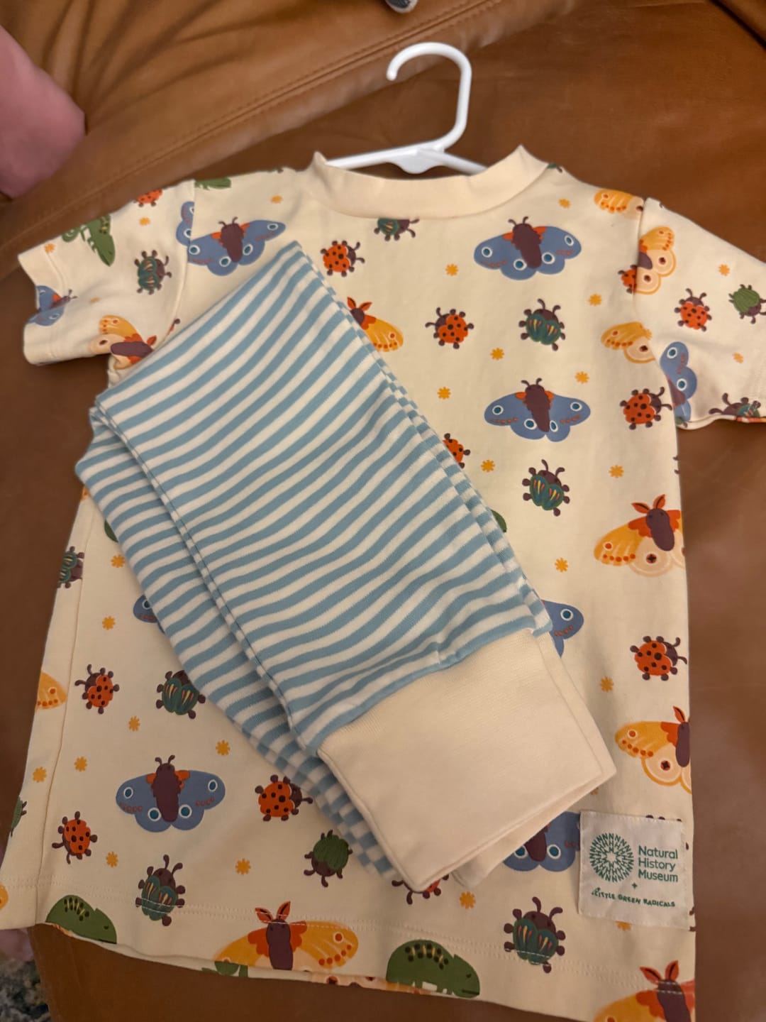Customer photo review of Cream Extraordinary Organic Short Sleeve T Shirt