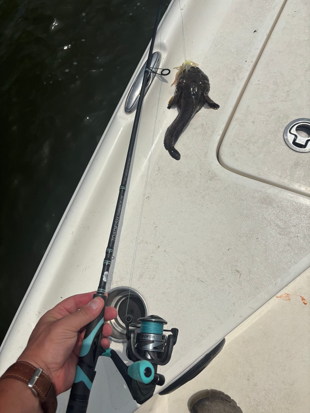 Customer photo review of Carbon Elite II Spinning Reels