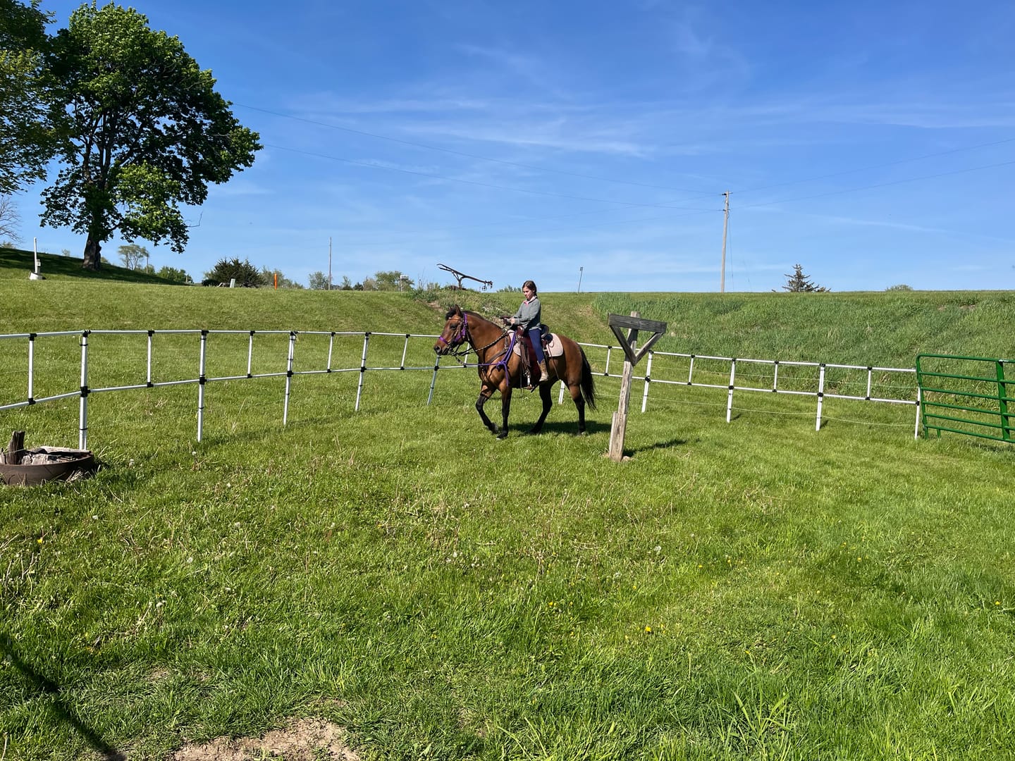 Customer photo review of BOGO Ready Made Portable Electric Horse Corral Fencing: (Electric EconoLine 8x2 = 16 Panels; 2 Rails)