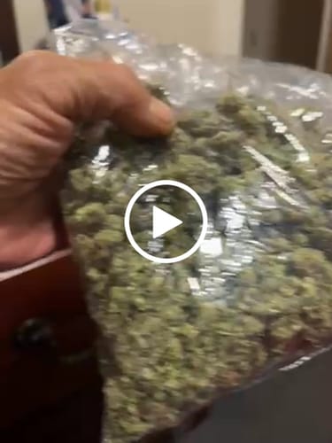 Customer video review of Black Cherry Runtz Indoor - Bulk - Indica
