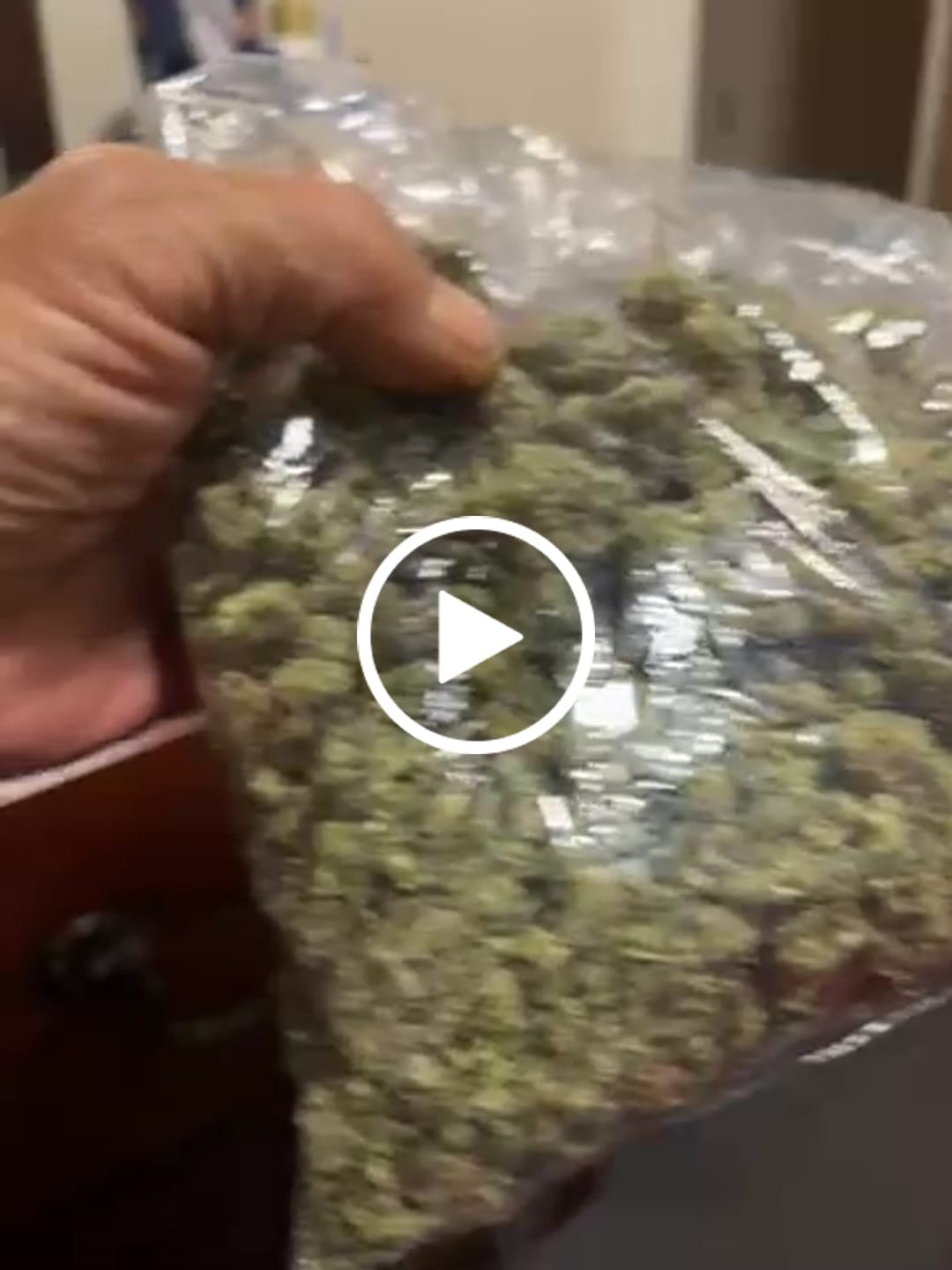 Customer video review of Black Cherry Runtz Indoor - Bulk - Indica