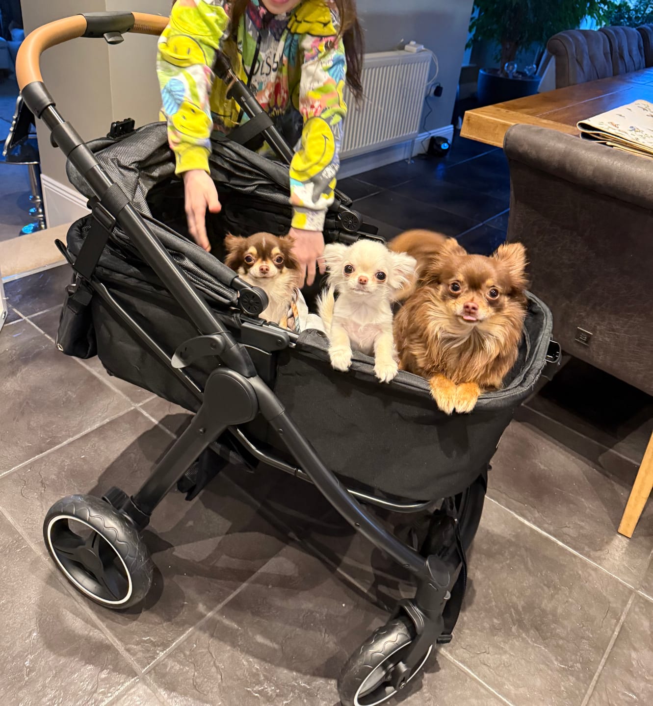 Customer photo review of BOSS Dog Accessories Stroller