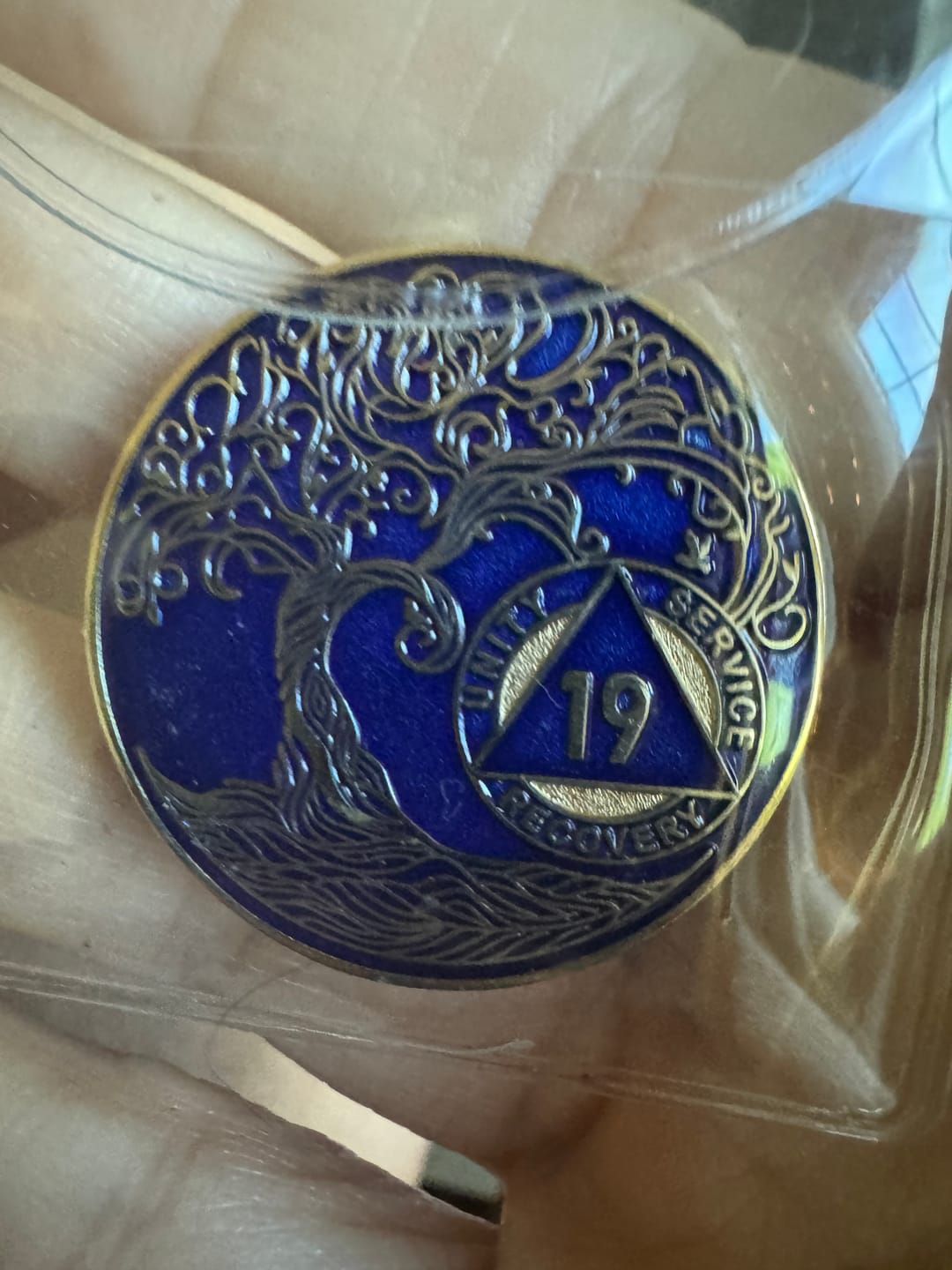 Customer photo review of 19 Year Sobriety Mint Twisted Tree of Life Gold Plated AA Recovery Medallion - Nineteen Year Chip/Coin - Blue