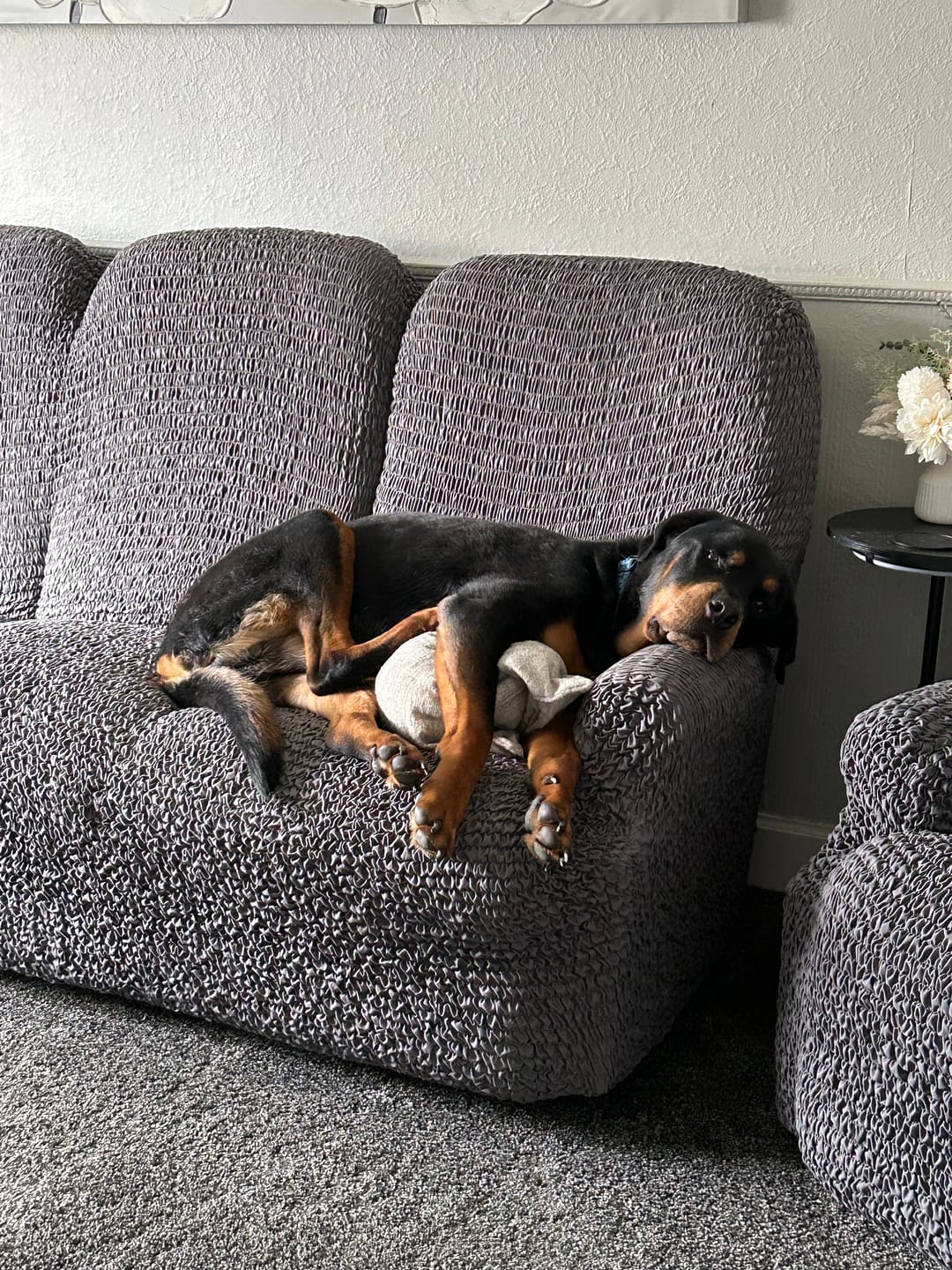 Customer photo review of 4 Seater Sofa Cover - Charcoal, Microfibra Collection