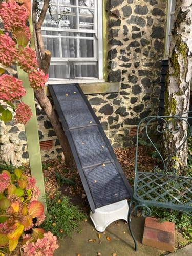 Reviewer's foldable dog ramp set up outdoors against a house window for their cat.