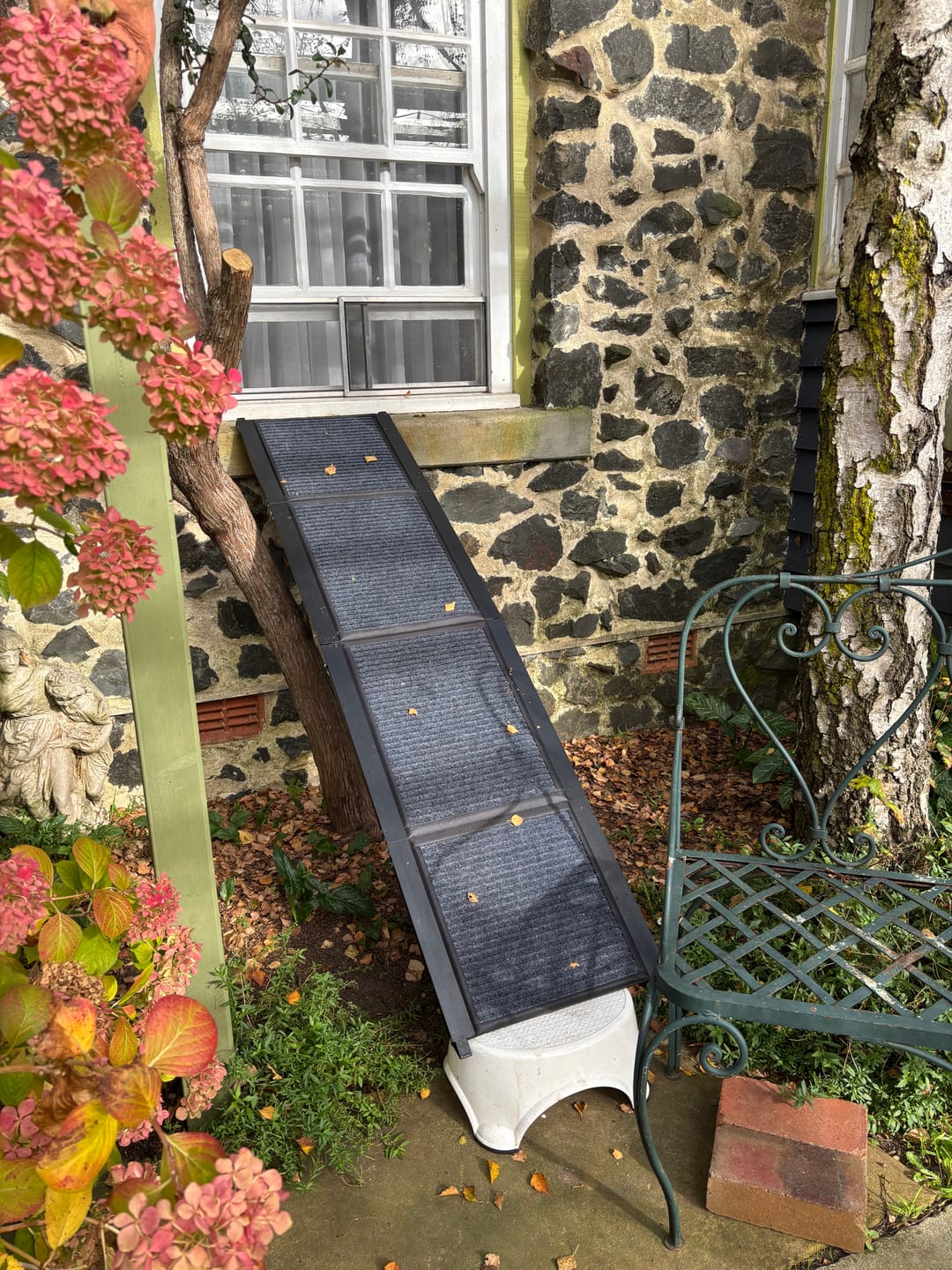 Customer photo review of Foldable Dog Ramp for Cars & SUVs – Compact Design
