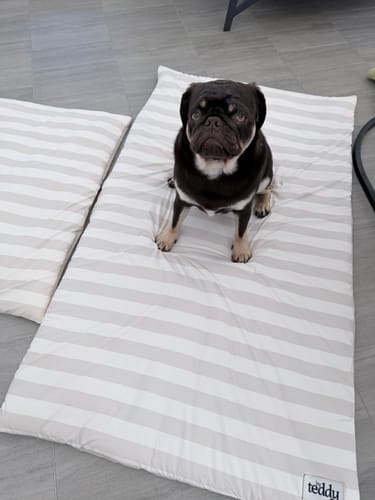 Customer photo review of Summer Breeze Cooling Mat