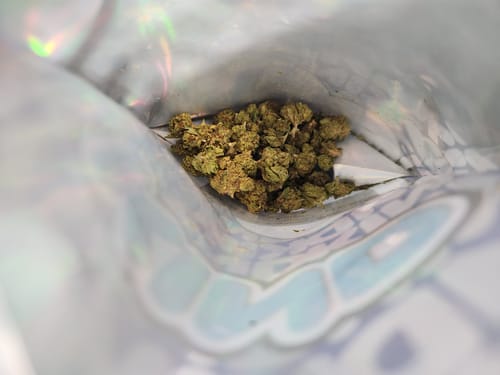 Super Lemon Haze - Minis - 28 Grams - Sativa photo review