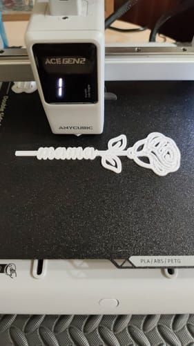 Customer photo review of Anycubic Kobra X