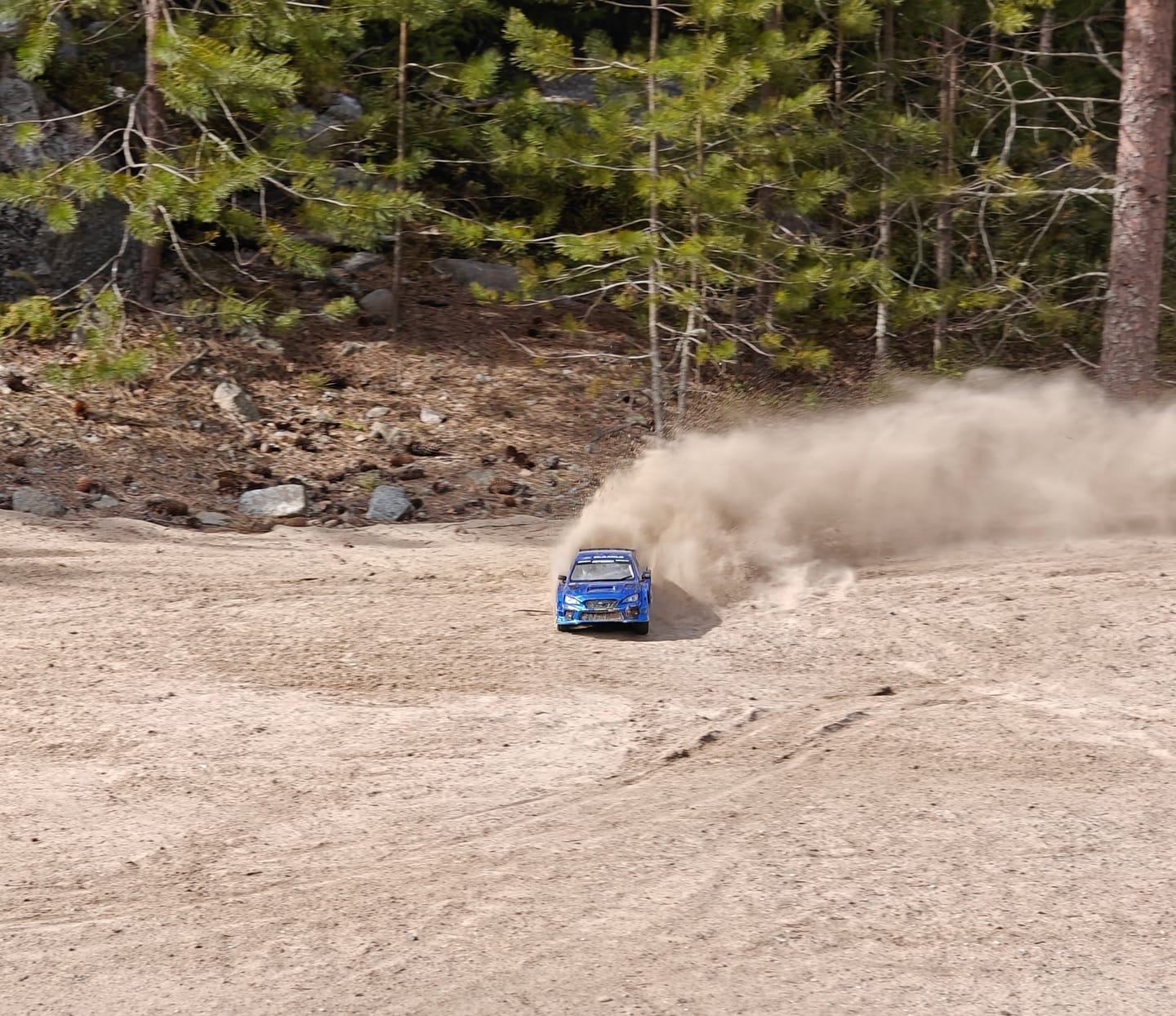 Customer photo review of Rlaarlo 1/10 Scale RTR 4WD Carbon Fiber Brushless RC Rally Car | XTS-S10