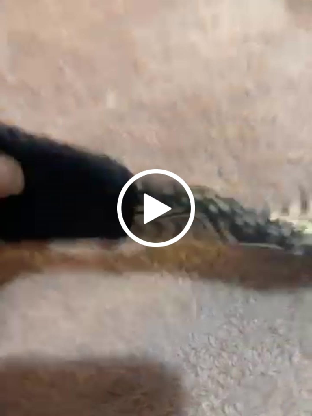 Customer video review of Ajustar cinta regulable de la cintura