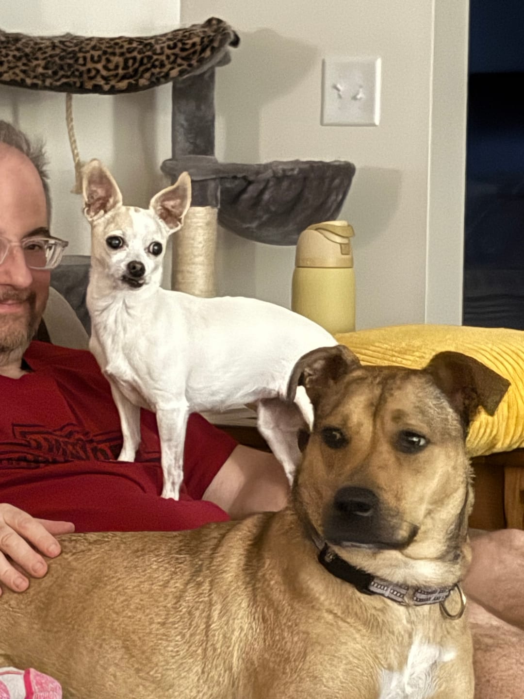 Customer photo review of Pets Help Us Find Purpose