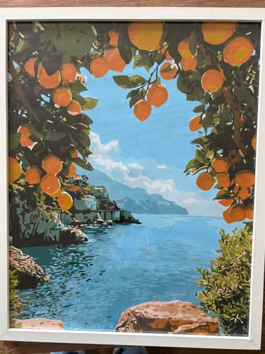 Customer photo review of Lemon Bay