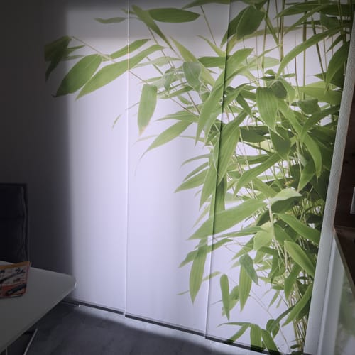 Customer photo review of Schiebegardine Motiv "Bambus Strauch"