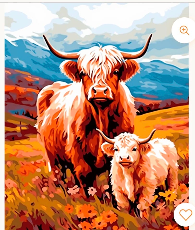Customer photo review of Highland Companions
