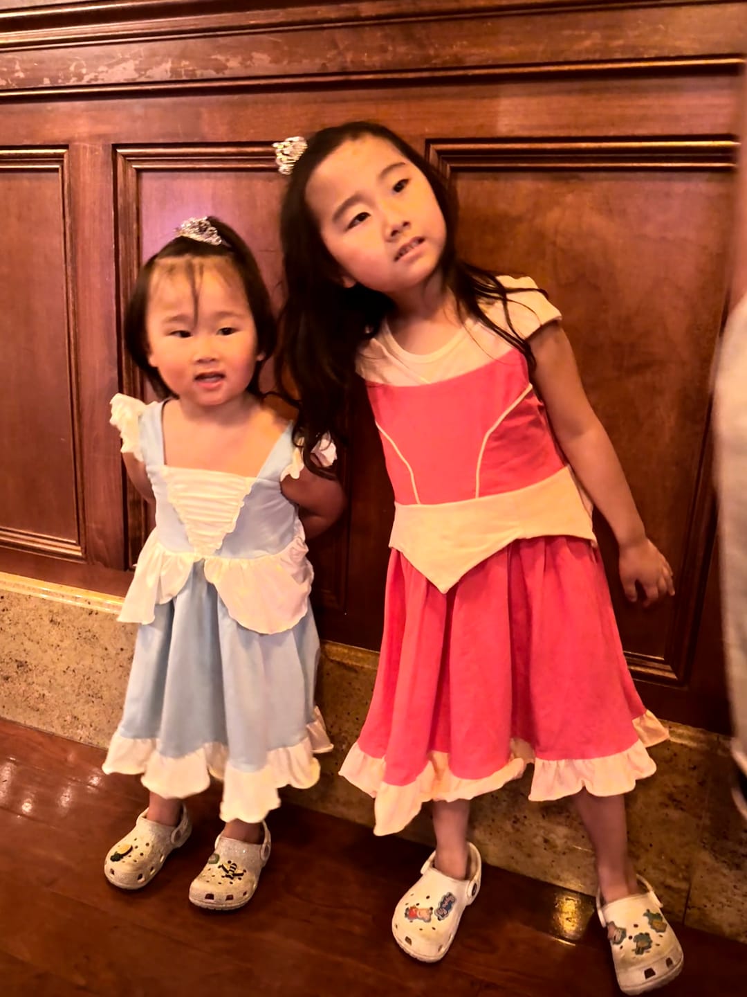 Customer photo review of Make it Pink Sleeping Beauty Twirl Dress