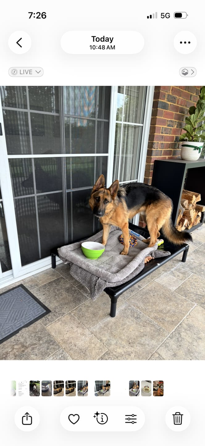 Customer photo review of Reinforced Elevated TuffyBed