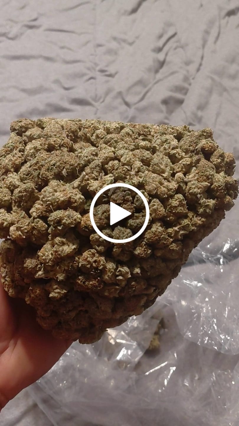 Customer video review of Blueberry Muffins - Bulk - Indica