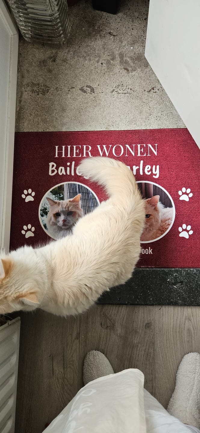 Customer photo review of Hier woont - Gepersonaliseerde huisdier deurmat