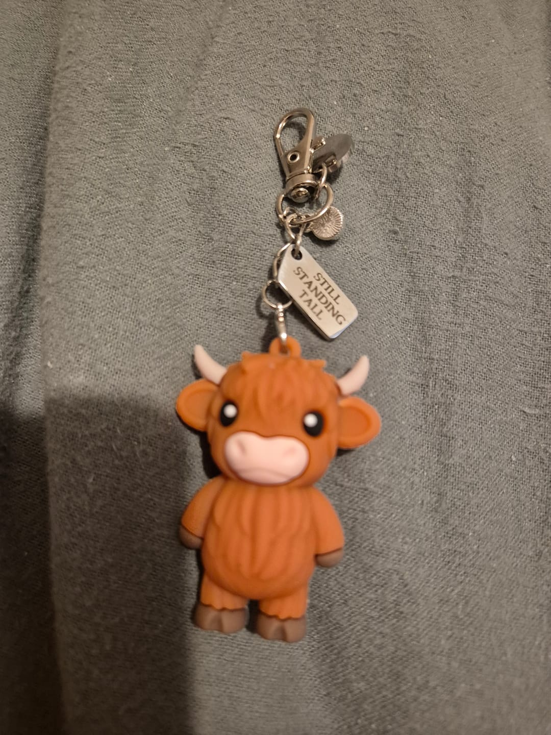 Customer photo review of 🐮A Little Highland Cow For You Keychain: Your Daily Reminder of Quiet Strength