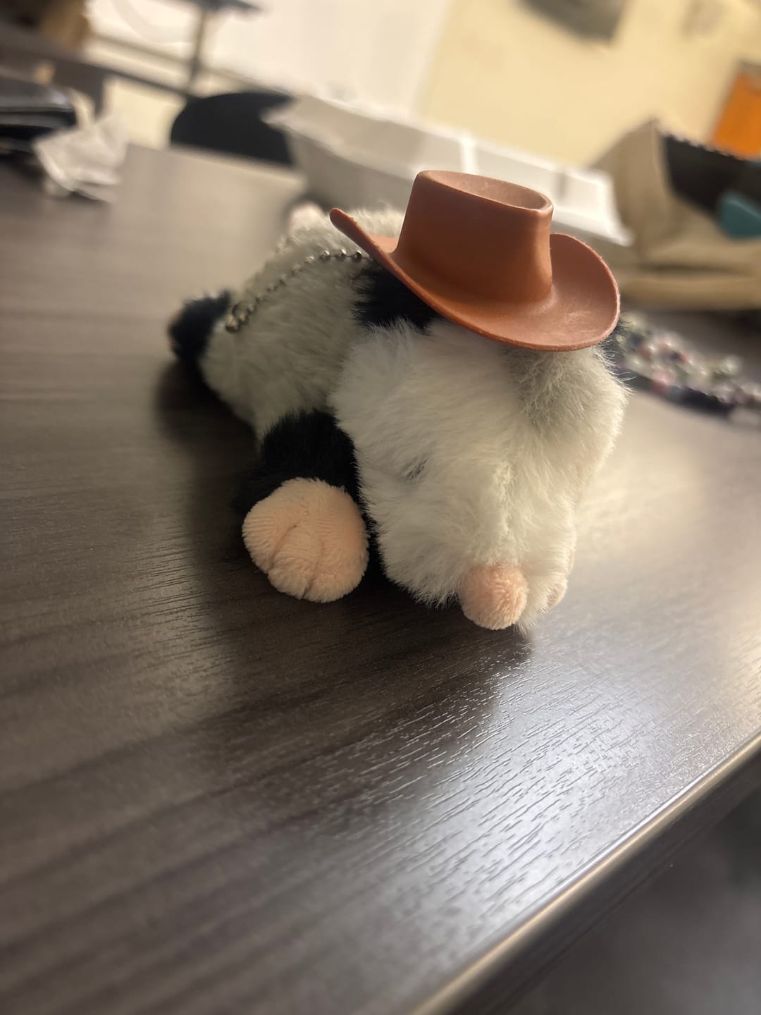 Customer photo review of Forgotten Peter the Opossum
