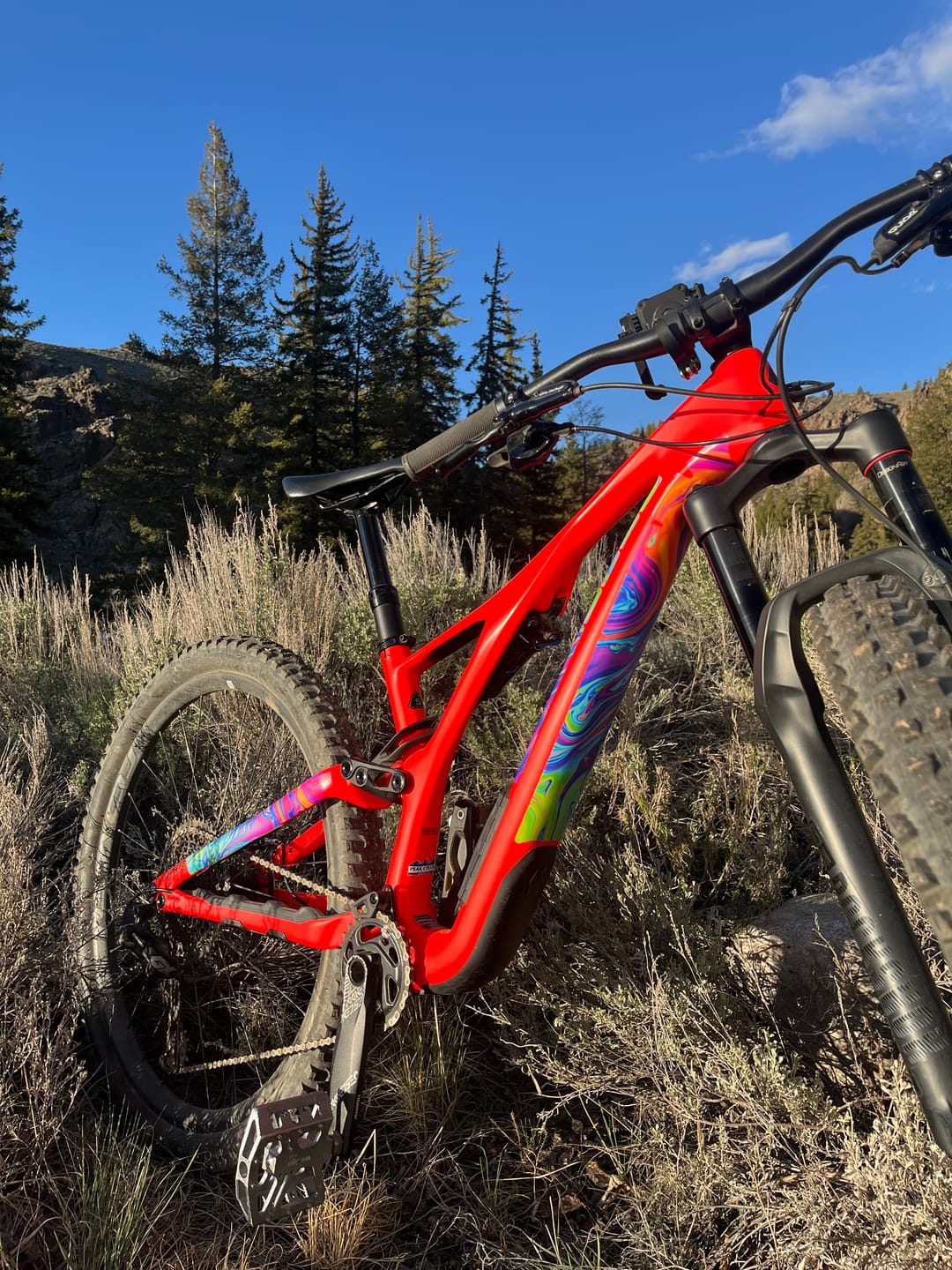 Customer photo review of Oil Slick Frame Keeper
