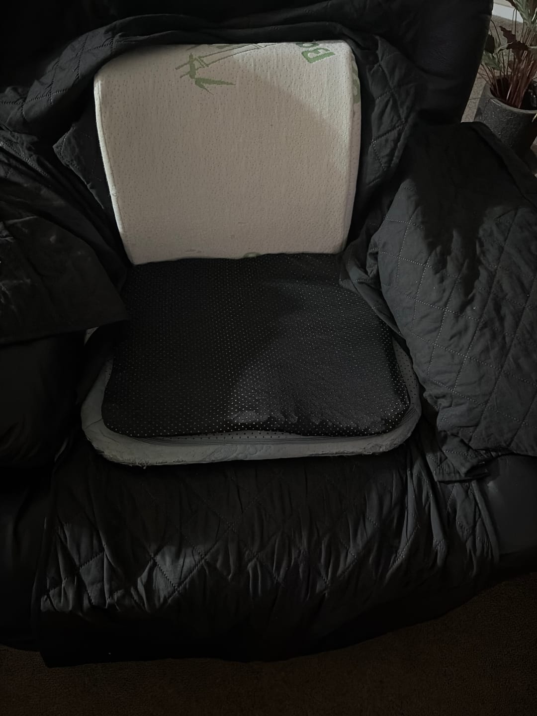 Customer photo review of Advanced Orthopaedic Pressure Relief Cushion