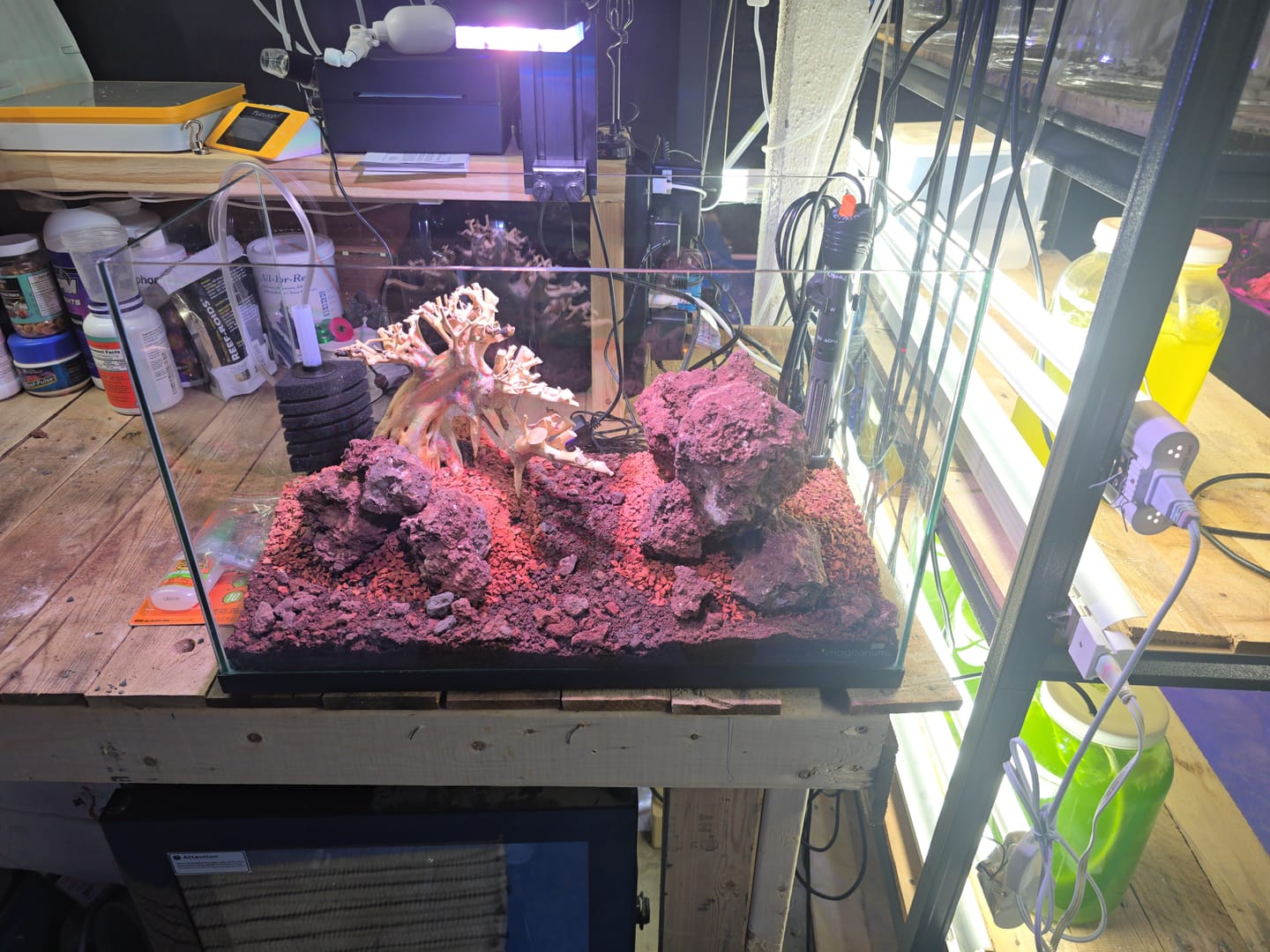 Customer photo review of The Tini LED