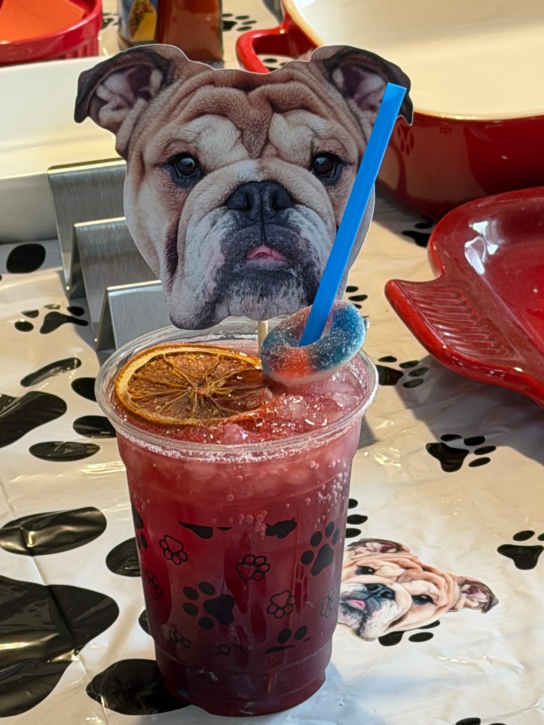 Customer photo review of Standard Personalized Dog Party Pack