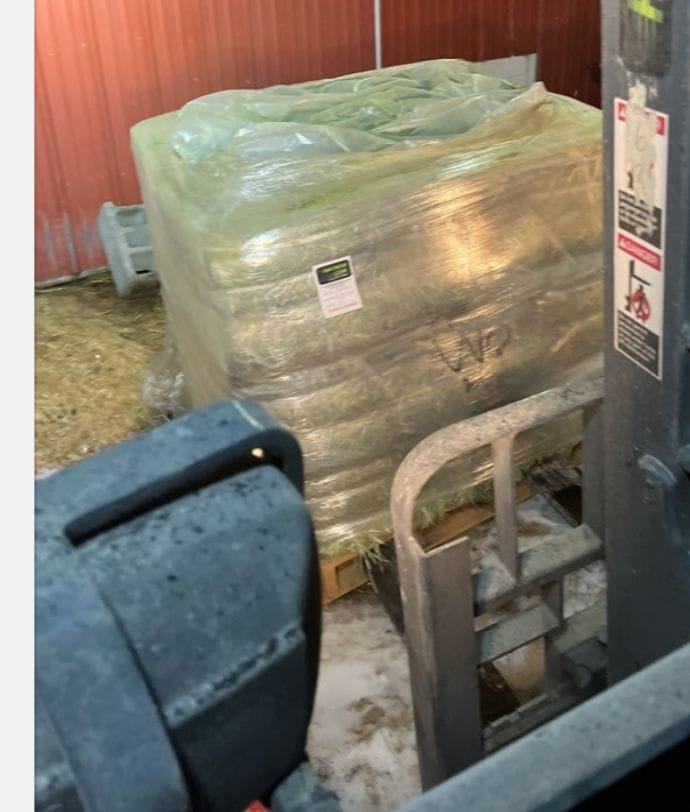 Customer photo review of 2nd Cutting (Click here for Qty Discount) NY Timothy Orchard Grass Hay (Buy More - Save More)(Includes delivery too!)