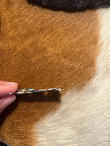 Customer photo review of The Earring Club
