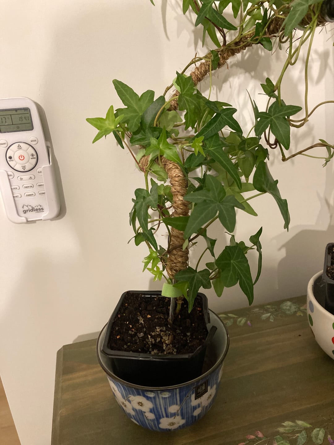 Customer photo review of The Original Bendable Coir Pole™ - Best Seller (Tape Included)