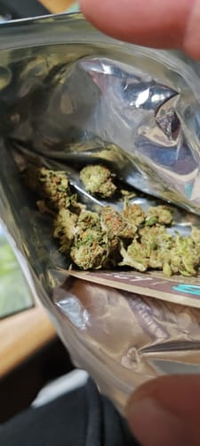 Customer photo review of Moroccan Peaches THCA Flower