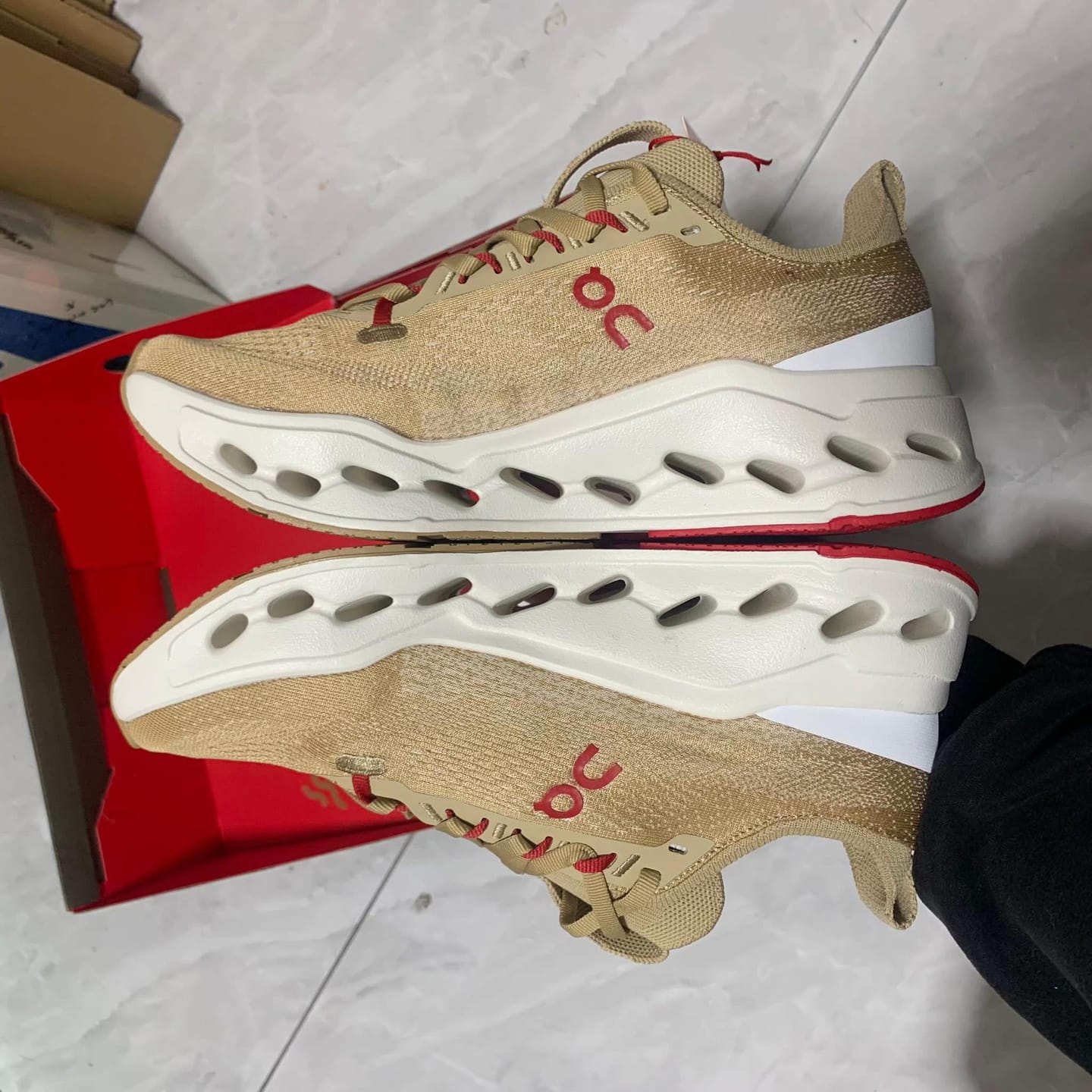 Customer photo review of Cloudsurfer Max Year of the Horse
