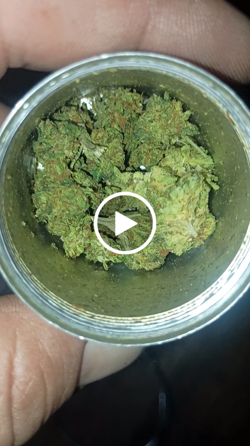 Customer video review of OG Kush - 14 Grams - Minis (Indica)