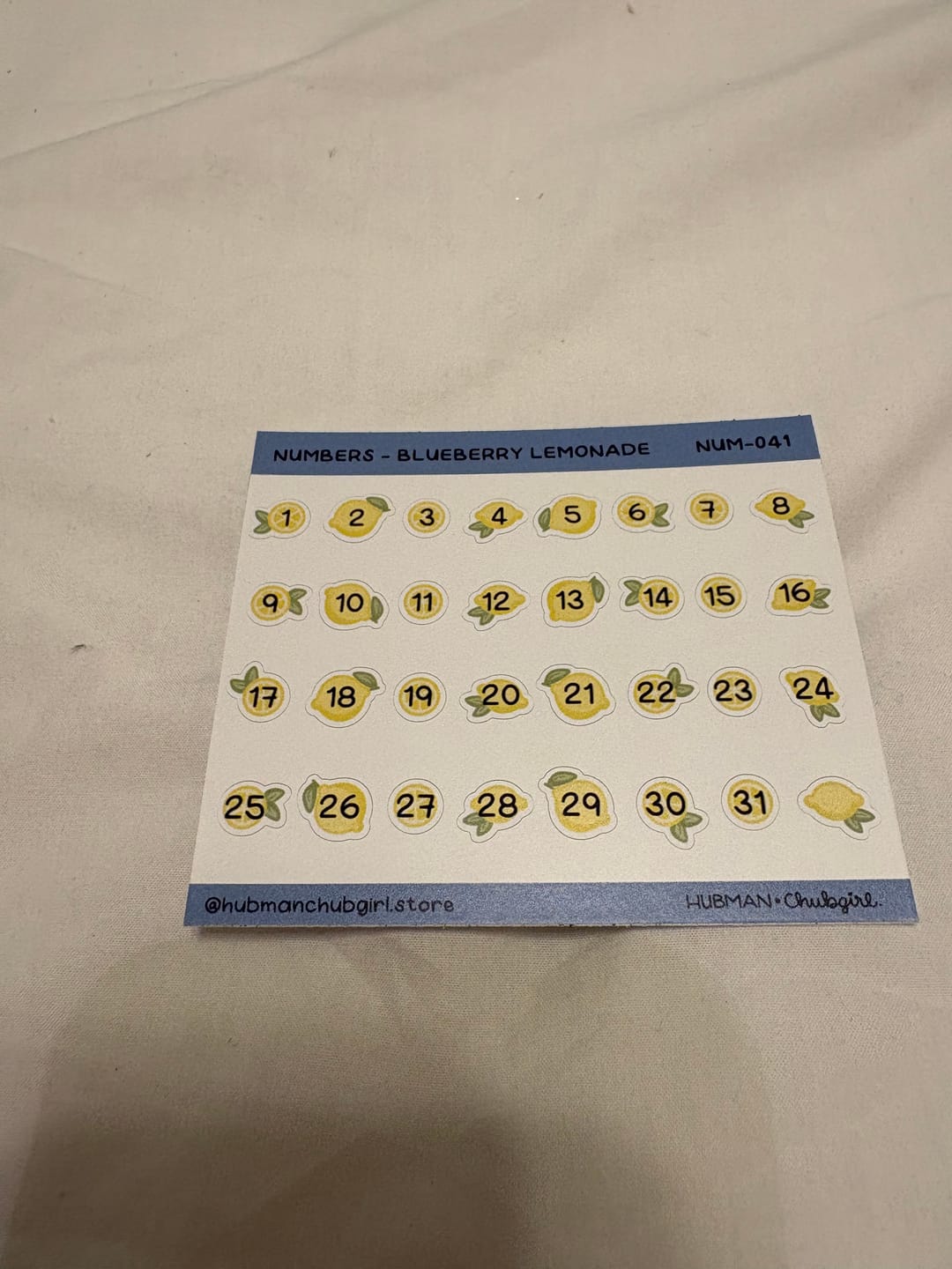 Customer photo review of Numbers - Blueberry Lemonade Planner Stickers