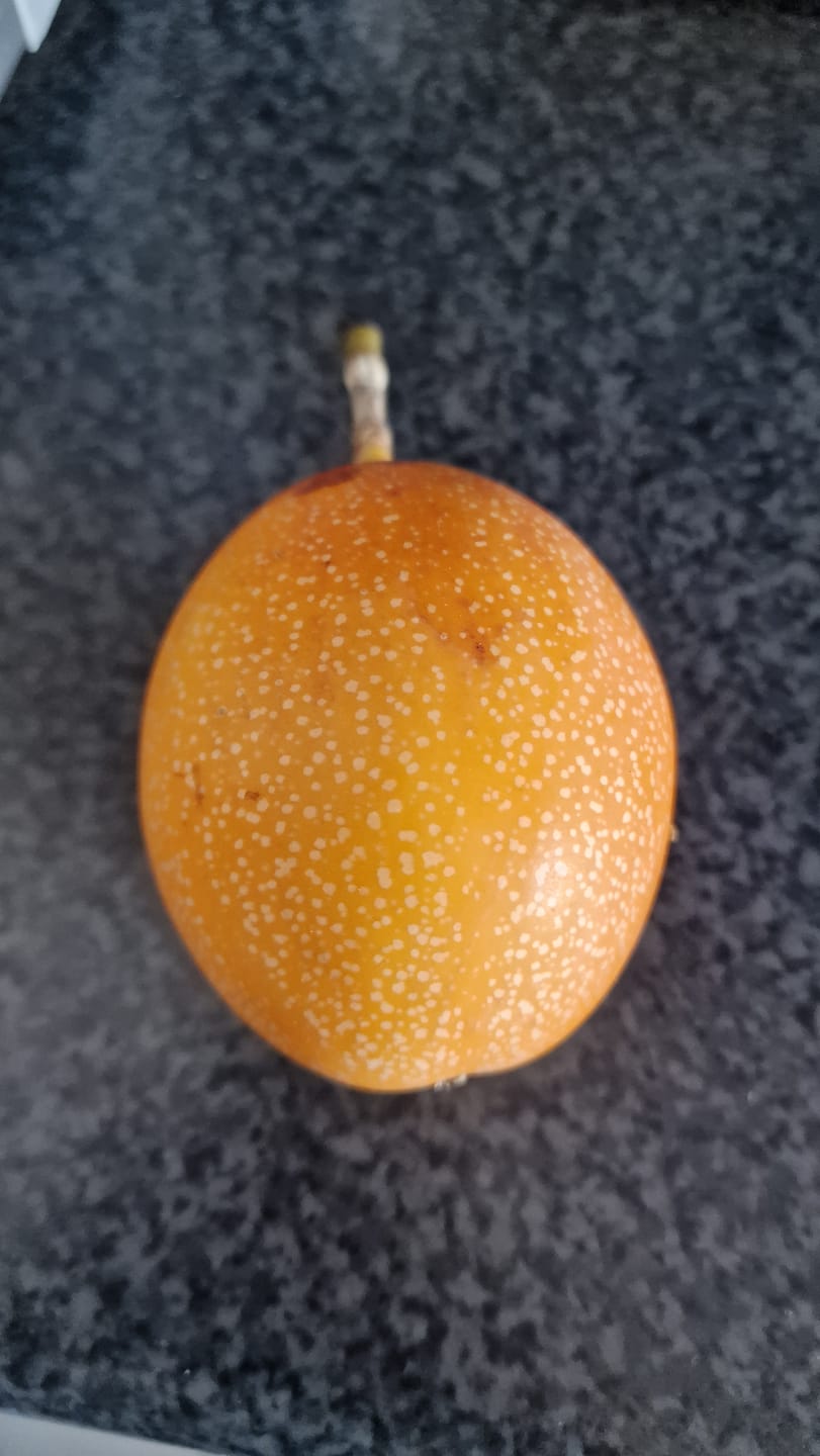 Customer photo review of Süße Granadilla Sonderaktion % 1,5kg